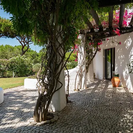 Serendipity By Sapvillas